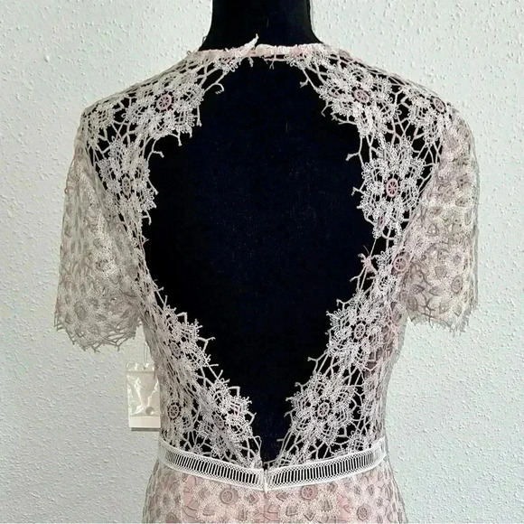 🌷 Host Pick 🌷 NWT! SAYLOR Lillie Dress in Ivory and Blush - Size Large - Picture 8 of 10